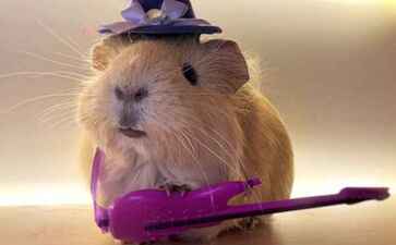 医疗系统集成案例