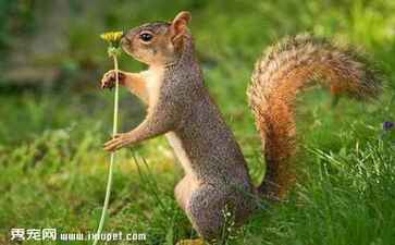 电商平台升级案例