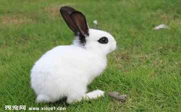 北京天震信息技术有限公司