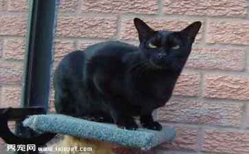 滨州市创景网络科技有限公司